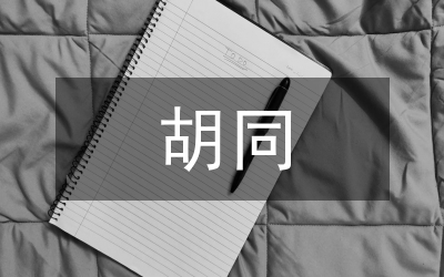 胡同文化教學(xué)教案