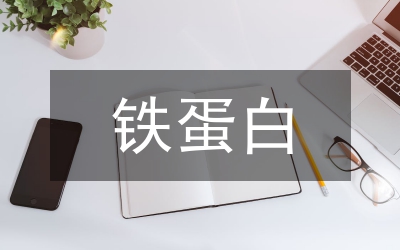 人乳鐵蛋白抑制鼻咽癌細胞增殖論文