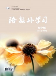 語數(shù)外學(xué)習(xí)·初中版